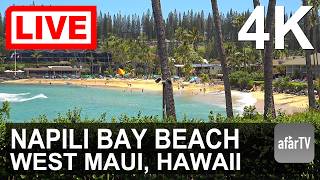 🔴 Live Now: 24/7 Napili Bay Beach in West Maui, Hawaii in 4K Ultra HD