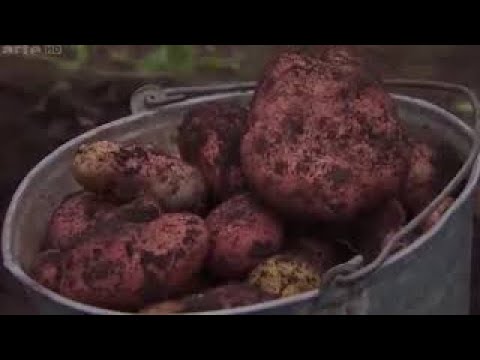 NEWW!! Ein Dorf im Süd Ural Russland Doku