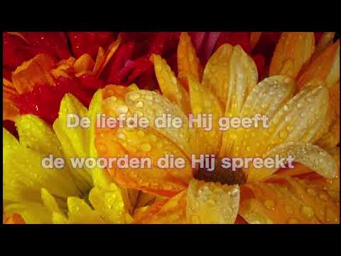 Opwekking 599 Nog voordat je bestond