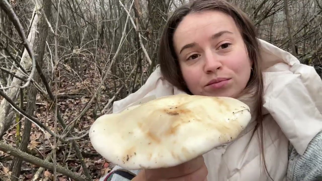 За грибами