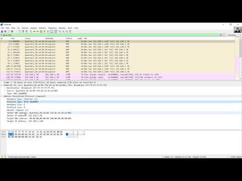 7.1.6 Lab - Use Wireshark to Examine Ethernet Frames