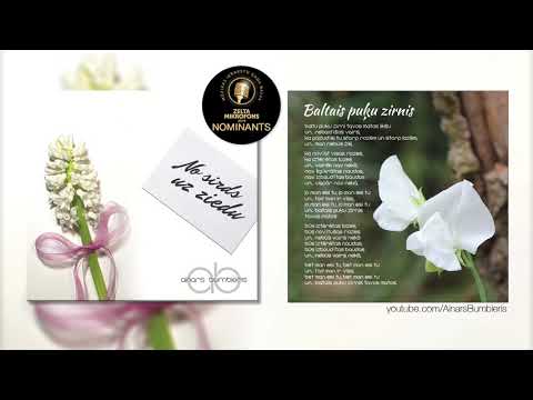 Ainars Bumbieris - Baltais puķu zirnis [AUDIO]