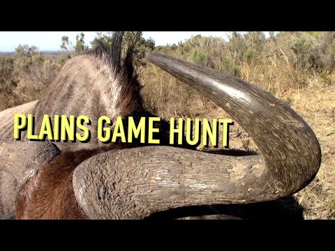 PLAINS GAME HUNT - South Africa