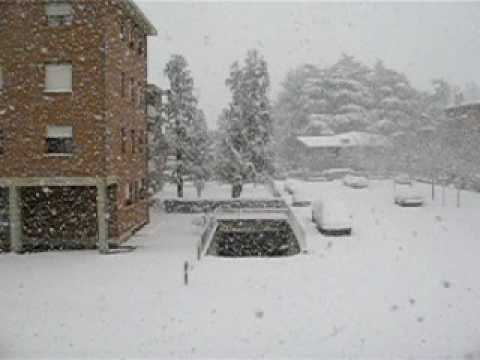 nevicata a vignola il 31/01/2010