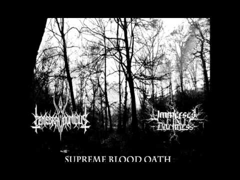 Immersed in Darkness - Summoning of the Succubus