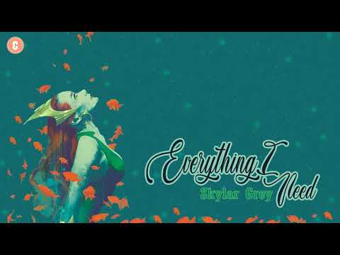 [Vietsub+Kara] Everything I Need - Skylar Grey