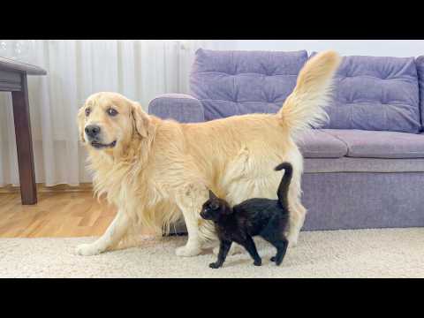 YouTube 썸네일