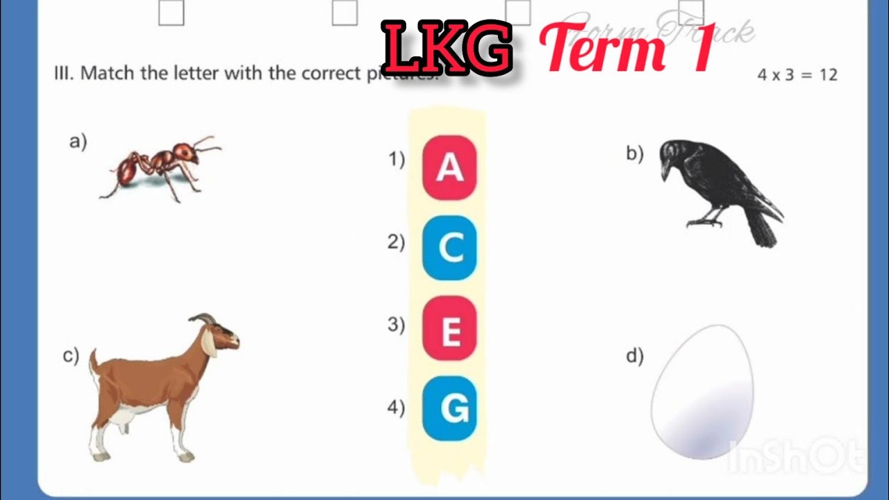 lkg question paper english question paper lkg model question paper lkg exam lkg english question