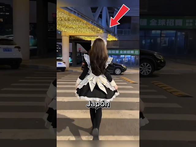 Vídeo relacionado con Encanto de Maid Café Japonés – Estilo Anime Rosa Camiseta