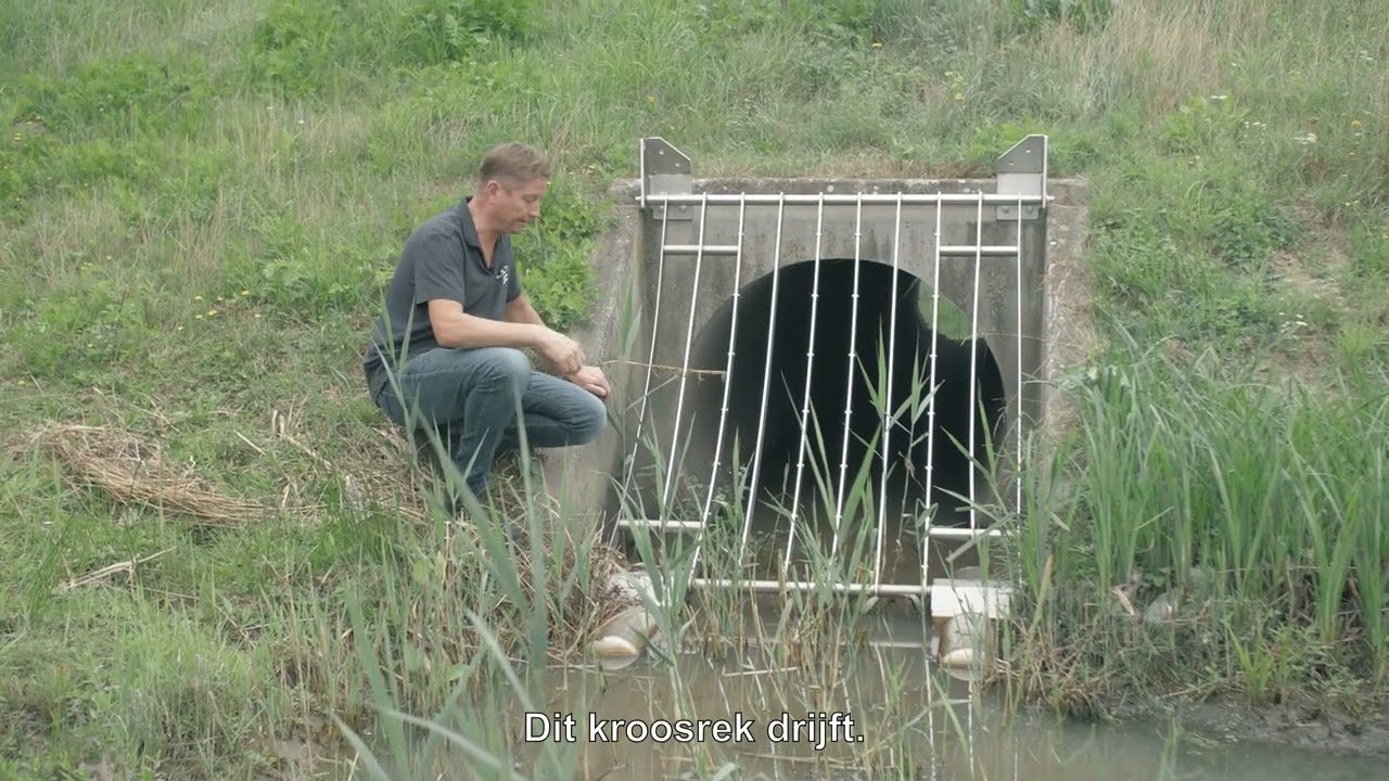 Innovatie bij De Dommel: een drijvend kroosrek