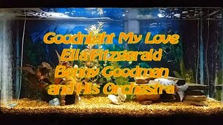 Goodnight My Love   Ella Fitzgerald Benny Goodman and His Orchestra