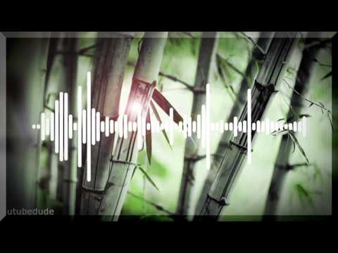 The Wizard - Like A Pro [ft. Nyanda & Chedda] (Yellow Claw Remix)