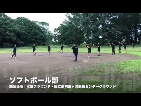 ソフトボール