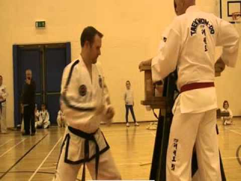 MrAdam Fox 4th Degree Brick Break