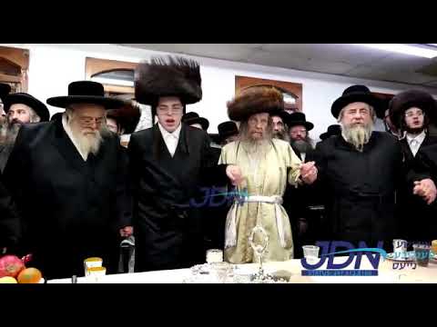 Rachmastrivka and Toldos Aharon Rebbes At Sheva Brochos Of Lelov Nikolsburg Rebbe's Son
