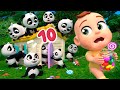 Counting 10 Little Pandas Lalafun Nursery Rhymes Kids Songs