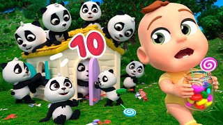 Download lagu Counting 10 Little Pandas | Lalafun Nursery Rhymes & Kids Songs mp3 Download lagu Counting 10 Little Pandas | Lalafun Nursery Rhymes & Kids Songs mp3