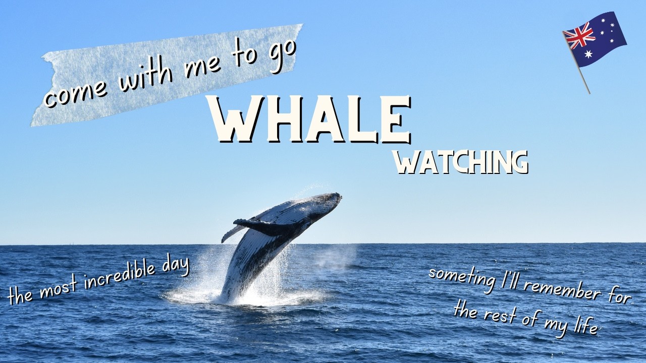 Join an adventurer as she takes part in Whale Watching experience.