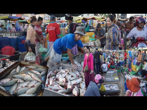 Fish Market Day in Cambodia - Plenty Alive Fish, Dry Fish, Seafood & More @Chbar Ampov Fish Market