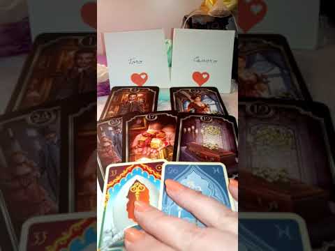 Interativo Pensieri, sentimenti e intenzioni del uomo Toro verso la donna ...