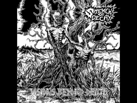 Stench of Decay - Vision Beyond Death