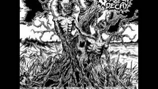 Stench of Decay - Vision Beyond Death