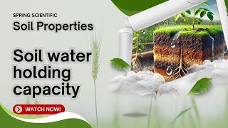 Soil Water Holding Capacity: Key to Sustainable Farming | Spring Scientific