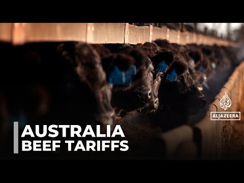 Beef exports to China: Australian farmers concerned about cap, new tariffs