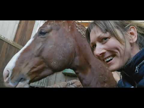 Booted Fox v. Benicio x Don Juan de Hus x Diamond Hit x Ferragamo 