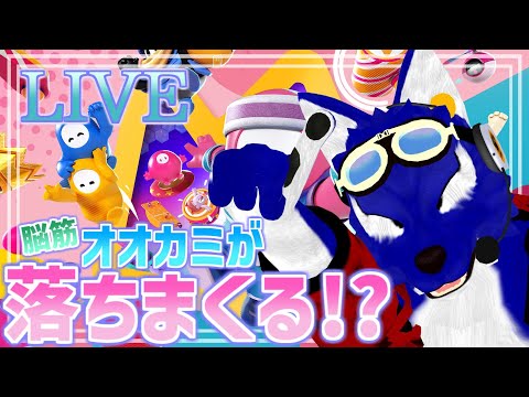 【 Fall Guys 】スナイプ歓迎!ルードもチャンピオンとりたーい!【 #ケモノVtuber 】