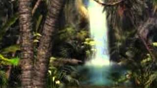 Astrud Gilberto-  Jungle