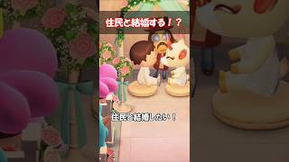 住民と結婚したい！ 【あつ森】@ほのげ