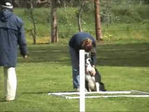 Ness UD Para - Directed Retrieve