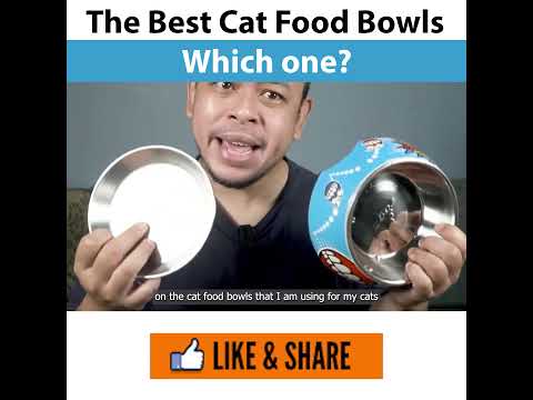 The Best Cat Food Bowls for Furry Friends - Which one?