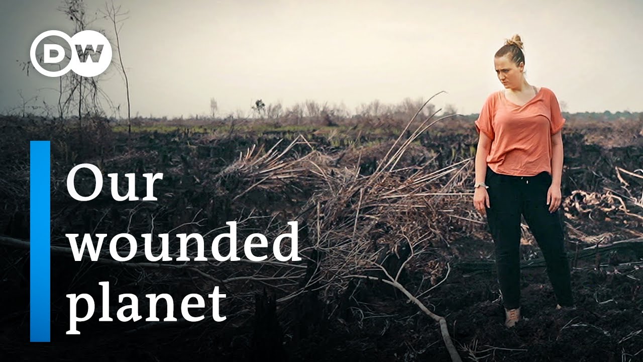 Sustainable business, rethinking growth – Founders Valley (1/3)