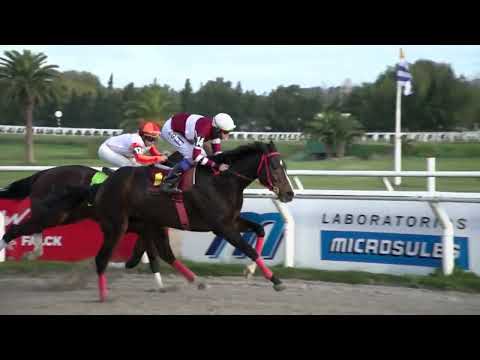 230527 c11 - BERRACO - HIPODROMO LAS PIEDRAS