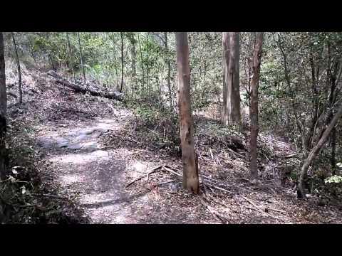 ARCHIELUXURY UNEMPLOYED - Archie starts the daily walk again!