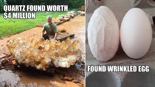 People Who Found The Most Surprising Thing