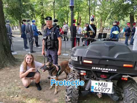 Jandarmeria Română, prezentă la Festivalul Istoric. Stiri Braila - Probraila.ro
