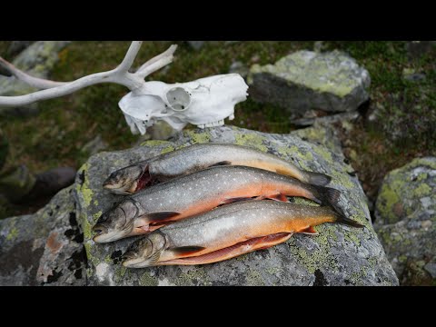 100 RAUTUA VIIKOSSA - Pekkojen Pojat Abiskossa osa 1/2  | 4K |