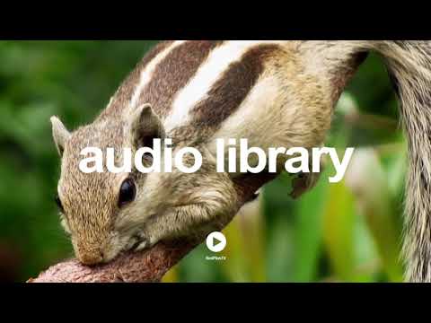 My Town Yo Town - Doug Maxwell / Media Rights Productions | YouTube - Free Audio Library