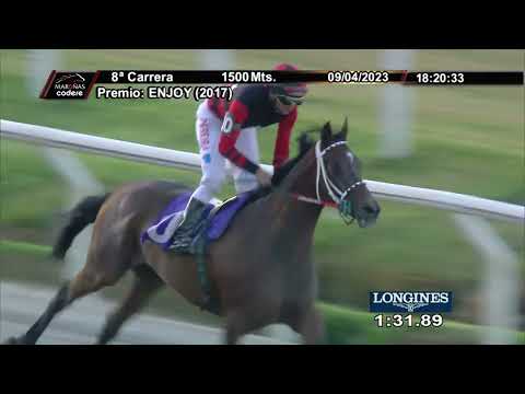 230409 c08 VAMOS AL CASORIO