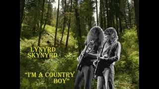 LYNYRD SKYNYRD- I&#39;M A COUNTRY BOY (1975)