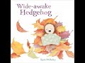 Wide-Awake Hedgehog by Rosie Wellesley and published by Pavilion Children’s Books read by Clodagh