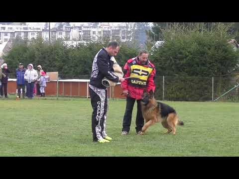 Svod NO 2017 - Ux z Na-Vla