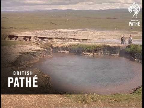 Cuts / Out Takes From Cp 371 - Reel 2 Of 2 - Egg Massage And Colour In Nature Iceland (1962)