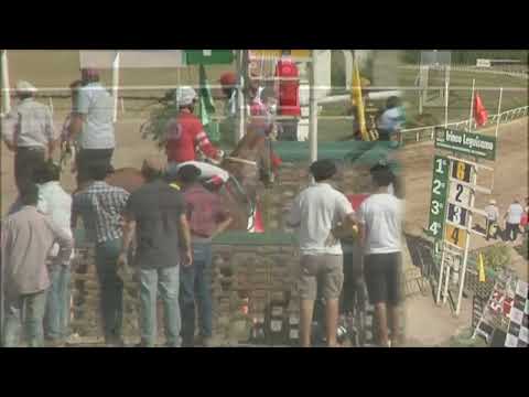 SINT FLORIDA 220317 c02 1° MURGUERO ORIENTAL