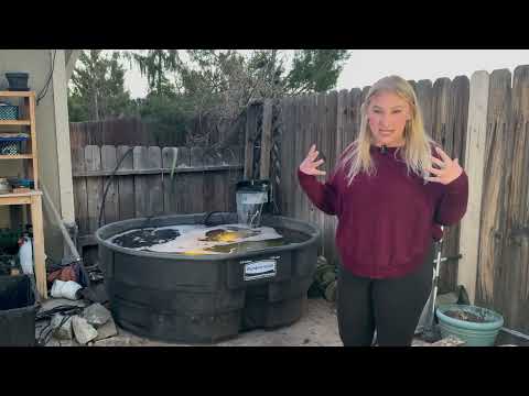 Rubbermaid 300 Gallon Stock Tank from Amazon: Mom's Review