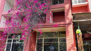 Salwan Junior School Video