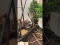 Dịch vụ khoan giếng công nghiệp tại Biên Hòa